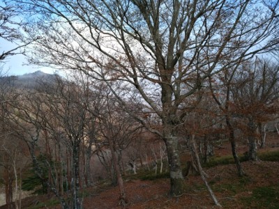 16683413735787 - コピー.jpg