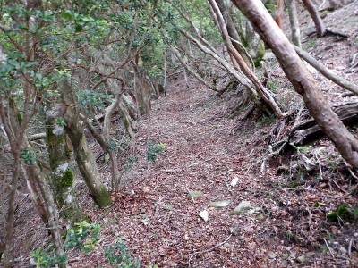 左俣左岸の水平道。