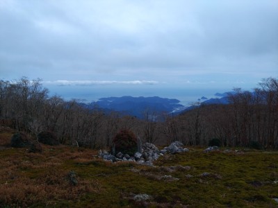 本当の苔辻 - コピー.jpg