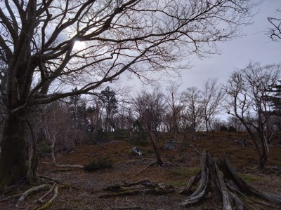 南の峠直下 - コピー.jpg