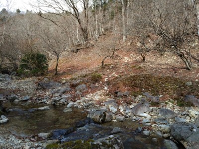 桃源郷② - コピー.jpg