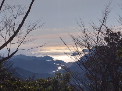 1153への尾根の途中から - コピー.jpg