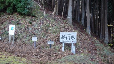 PC120821.jpg (458.6 KiB) 閲覧された回数 2418 回 「鯖街道」分岐