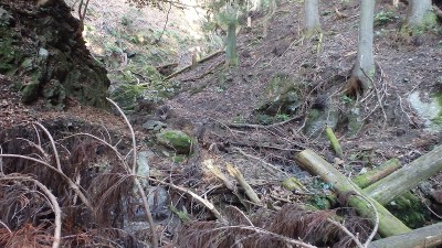 PC120878.jpg (475.1 KiB) 閲覧された回数 2418 回 荒れた谷筋