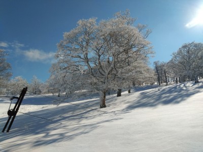 スキー場跡 - コピー.jpg