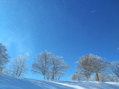 粉雪舞う - コピー.jpg