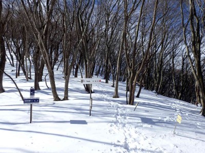 白船峠方面分岐