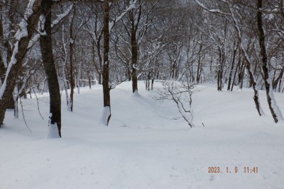 DSCF0010.JPG (990.08 KiB) 閲覧された回数 2174 回 幻の池