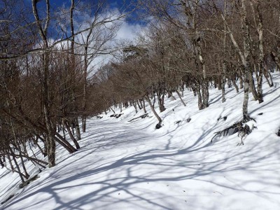 P1120022.jpg (110.24 KiB) 閲覧された回数 3515 回 稜線上の杣道