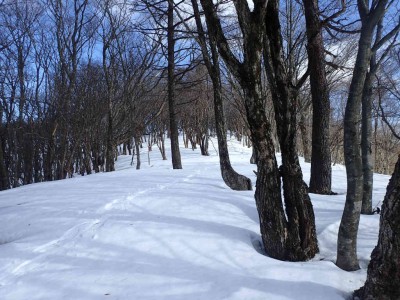 手つかずの雪原でスノーシューハイク