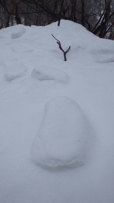 P1191080.jpg (197.27 KiB) 閲覧された回数 2632 回 弁当箱のような足型が続く