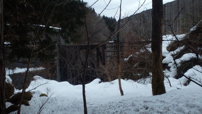 P1191086.jpg (318.5 KiB) 閲覧された回数 2623 回 スケルトン堰堤の手前で右岸の林道に