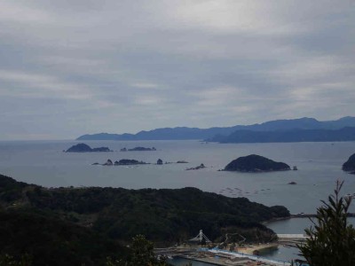 錦漁港から熊野灘