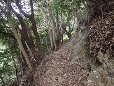 P1180013.jpg (114.48 KiB) 閲覧された回数 3858 回 標高150m付近の水平道