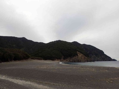 P1180019.jpg (41.9 KiB) 閲覧された回数 3861 回 芦浜