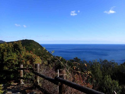 P1180025.jpg (76.32 KiB) 閲覧された回数 3856 回 潮騒の丘から見る熊野灘