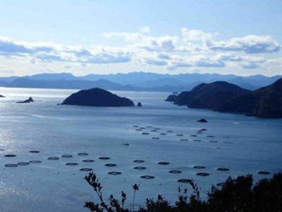 P1180030.jpg (50.82 KiB) 閲覧された回数 3863 回 錦湾