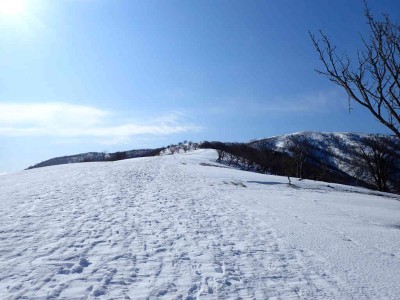 P2090020.jpg (69.13 KiB) 閲覧された回数 2469 回 鞍掛峠co1000m付近