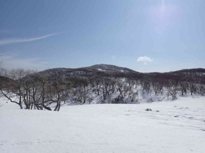 P2090049.jpg (47.65 KiB) 閲覧された回数 2469 回 日本庭園から見る御池岳