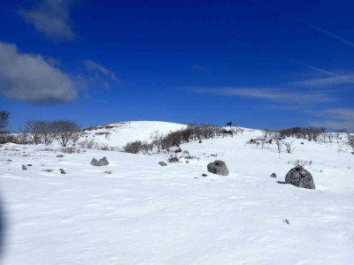 P2090051.jpg (42.56 KiB) 閲覧された回数 2464 回 日本庭園付近