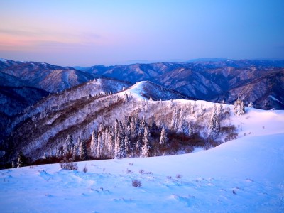 西南稜を振り返って