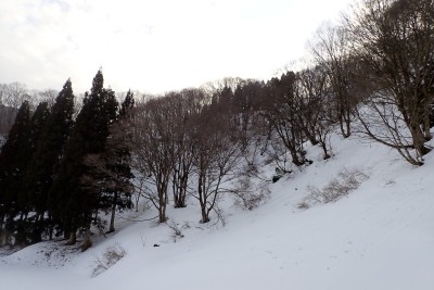 パッと見には大したことなさそうだったが・・・