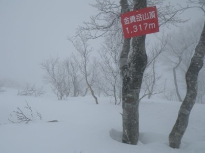 IMGP0008.JPG (29.96 KiB) 閲覧された回数 2147 回 2023.2.23