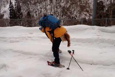 この尻尾ともお別れ(^^ゞ