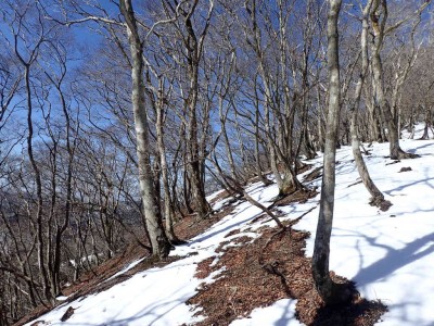 co900m付近で雪が出てくる