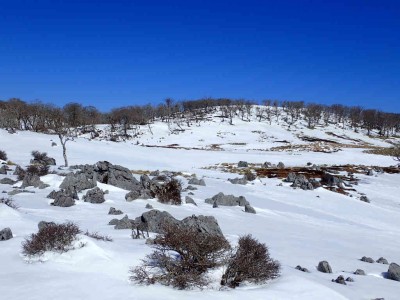 テーブルランド