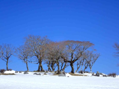 P2280062.jpg (58.76 KiB) 閲覧された回数 2196 回 テーブルランド