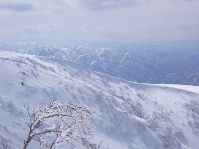 P3040101.JPG (165.87 KiB) 閲覧された回数 4307 回 北尾根の雪庇