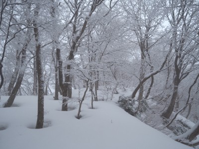 雪の尾根.JPG