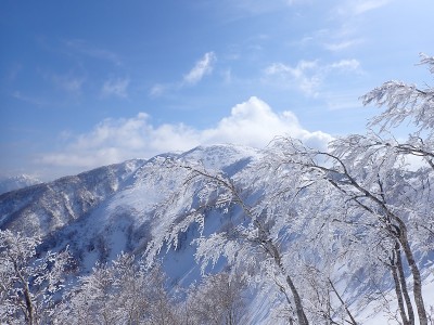 P3040052.JPG (234.91 KiB) 閲覧された回数 4242 回 銀杏峯