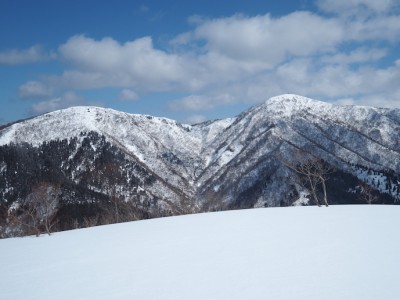 登りの尾根の雪原より.JPG