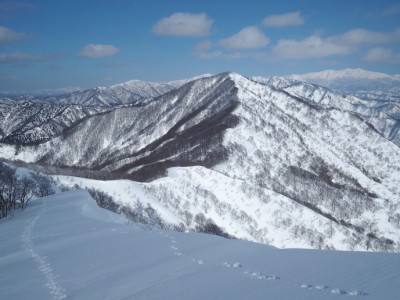 大葉山より高平山を望んで.JPG