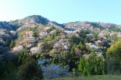 IMG_4464.jpg (345.07 KiB) 閲覧された回数 4623 回 相津峠