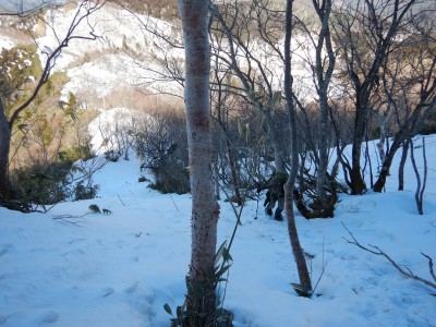 ニャルさん頑張れ!!