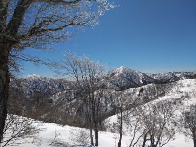 三周、高丸 - コピー.jpg