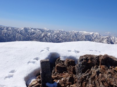 冠山山頂
