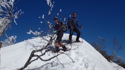 P3191560.jpg (326.21 KiB) 閲覧された回数 5063 回 美濃俣丸山頂近くで