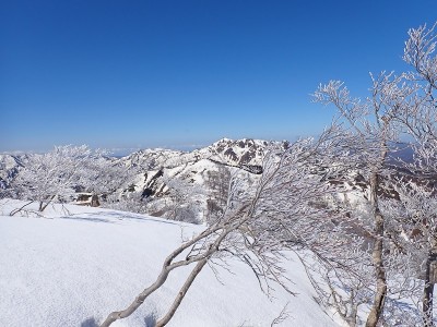 P3190048.JPG (244.89 KiB) 閲覧された回数 2792 回 金草岳