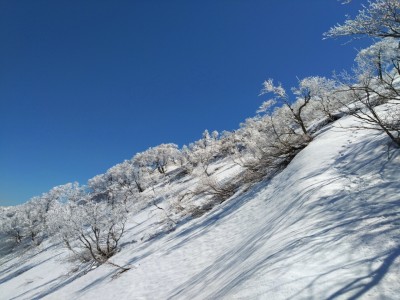 16794891426951 - コピー.jpg