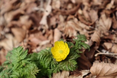 tmp_imgresize (2).jpg