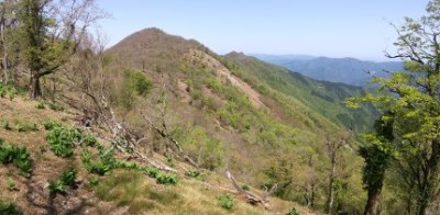柚子の木平へ向かう稜線から迷岳と口迷岳