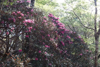 tmp_imgresize (4).jpg