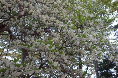 tmp_imgresize (3).jpg