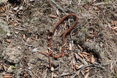 tmp_imgresize (10).jpg