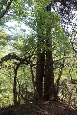 tmp_imgresize (11).jpg