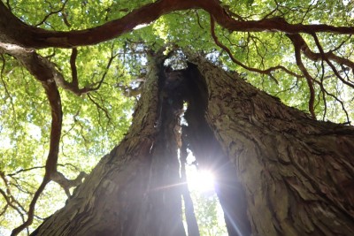 tmp_imgresize (12).jpg